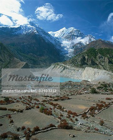 Fields beside a lake at the foot of Mount Gangapurna, in the Manang Region of the Himalayas, Nepal, Asia