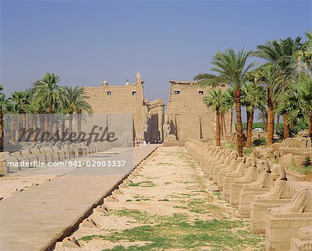 Allée des sphinx et des statues de Ramsès II, Temple de Luxor, Luxor, Égypte Allée des sphinx et des statues de Ramsès II, Temple de Luxor, Luxor, Égypte