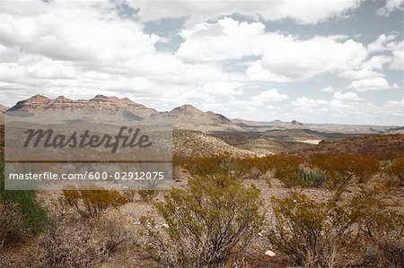 Red Hill, Shafter, Presidio County, West Texas, Texas, USA