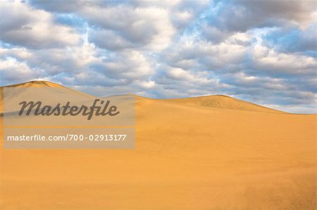 Mesquite Flat Sand Dunes and Grapevine Mountains, Death Valley National Park, California, USA