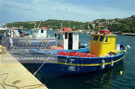 Fishing boats in port at Santa Teresa di Gallura on the island of Sardinia, Italy, Mediterranean, Europe