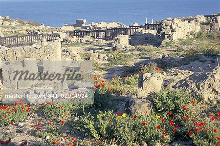 Ruines puniques et romains de la ville fondée par les Phéniciens dans 730BC, Tharros, île de la Sardaigne, en Italie, Méditerranée, Europe