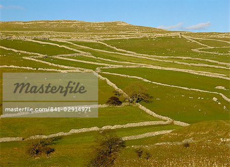 Murs de pierres sèches au-dessus de Malham, Parc National de Yorkshire Dales, Yorkshire, Angleterre, Royaume-Uni, Europe