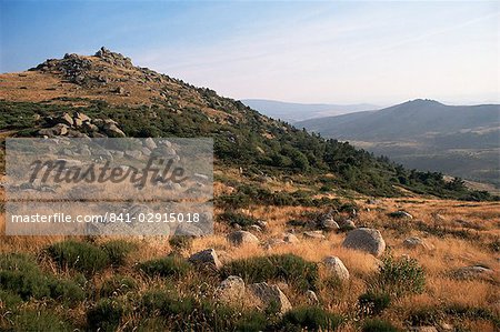 Mont Lozere, near Finiels, Cevennes National Park, Lozere, Languedoc-Roussillon, France, Europe