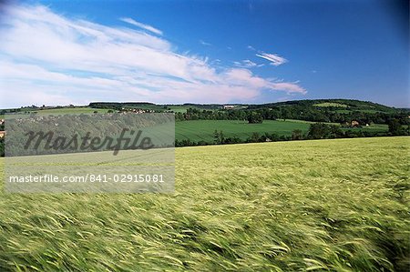 Farmland, Darent Valley, North Downs, near Eynsford, Kent, England, United Kingdom, Europe