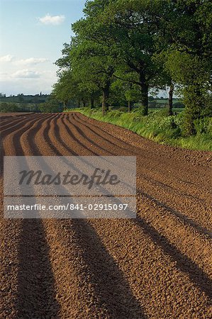 Sillons dans un champ labouré près de Coleshill dans Warwickshire, Angleterre, Royaume-Uni, Europe