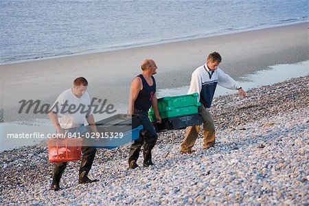 Pêcheur transportant le poisson jusqu'à la plage de galets, Le Hourdel, Cote Picardie, Picardie, France, Europe