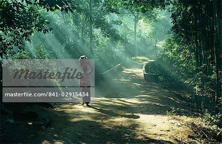 Woman carrying coconuts to market, Peliatan, Bali, Indonesia, Southeast Asia, Asia