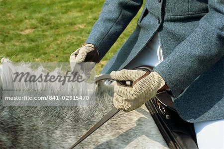 Kontinentales halten Reins, England, Vereinigtes Königreich, Europa