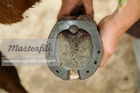 Cut away shoe, England, United Kingdom, Europe