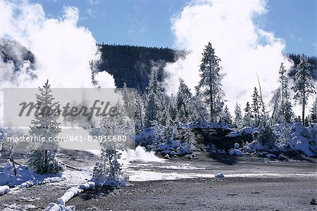 Geothermische Dampf, Matt Bäume und Schnee-free hot Boden in Norris Basin im Winter, Yellowstone National Park, UNESCO Weltkulturerbe, Wyoming, Vereinigte Staaten von Amerika (U.S.A.), Nordamerika