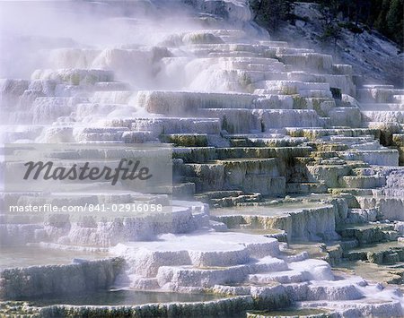 Terrasses, Mammoth Hot Springs, Parc National de Yellowstone, UNESCO World Heritage Site, Wyoming, États-Unis d'Amérique (USA), Amérique du Nord