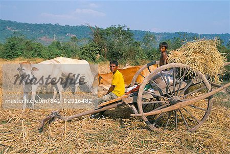 Farmer and son sitting on ox-cart, near Siem Reap, Cambodia, Indochina, Southeast Asia, Asia