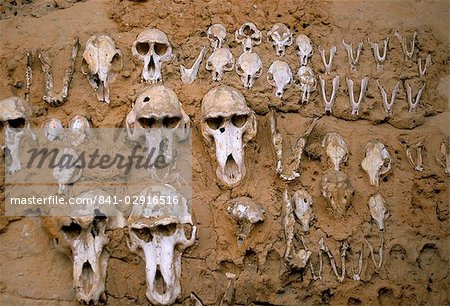 Monkey skulls embedded in mud wall to protect against evil spirits, Dogon village of Telle, UNESCO World Heritage Site, Mali, Africa