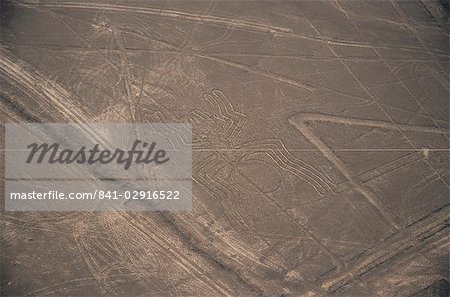 Spider, Nazca (Nasca) Lines, UNESCO World Heritage Site, Peru, South America