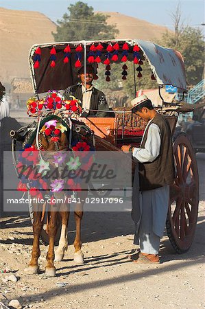 Mann Stand durch bunte Pferdewagen, Maimana, Provinz Faryab, Afghanistan, Asien