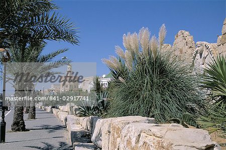 The Medina, Yasmine Hammamet, Tunisia, North Africa, Africa