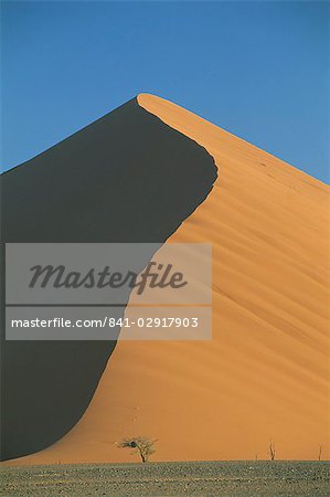 Dune de sable et des arbres près de Sesriem, Namib Naukluft park, Namibie, Afrique