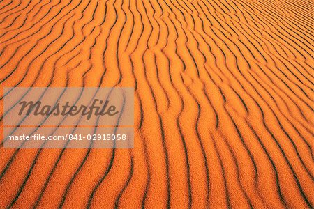 Modèles dans les dunes de l'Erg Chebbi sable mer, désert du Sahara, près de Merzouga, Maroc, Afrique du Nord, Afrique