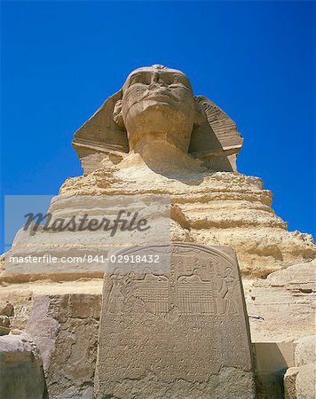 The Great Sphinx and tablet or stela, Giza, UNESCO World Heritage Site, Cairo, Egypt, North Africa, Africa