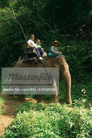 Touristes monter sur un éléphant au Centre de formation de Elephant Chiang Dao à Chiang Mai, Thaïlande, Asie du sud-est, Asie