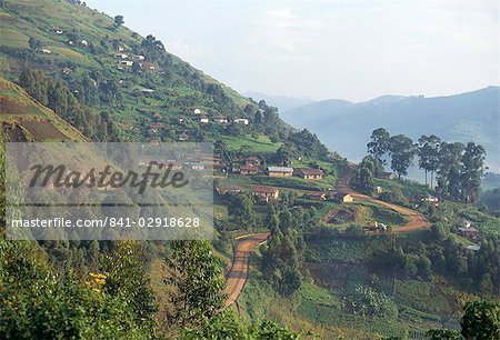 Terraced fields on the road to Kisoro, southwestern area, Uganda, East Africa, Africa