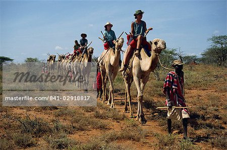 Touristes sur des chameaux, dirigée par la tribu Samburu, Samburuland, Kenya, Afrique de l'est, Afrique