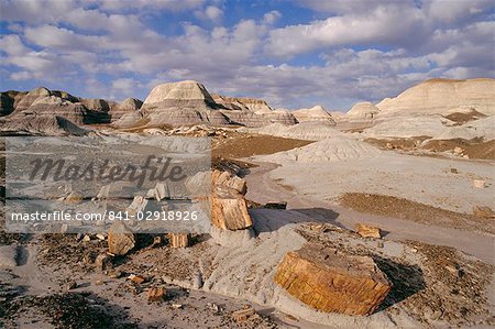 Blue Mesa, Petrified Forest National Park, Arizona, United States of America, North America