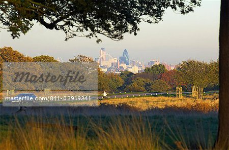 Skyline de Londres de Richmond Park, Londres, Royaume-Uni, Europe Skyline de Londres de Richmond Park, Londres, Royaume-Uni, Europe