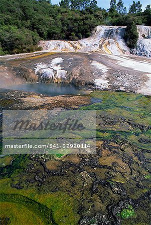 Algae in the hot springs at Orakei Korako, South Auckland, North Island, New Zealand, Pacific