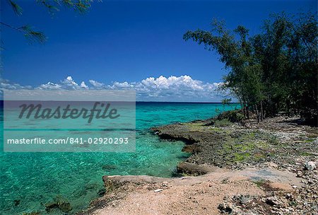 Fringing reef, Bahia de Cochinos (Bay of Pigs), Cuba, West Indies, Central America