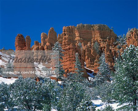 Landscape with trees and cliffs of red rock formations in the snow, at Red Canyon in the Dixie National Forest, near Bryce Canyon, Utah, United States of America, North America