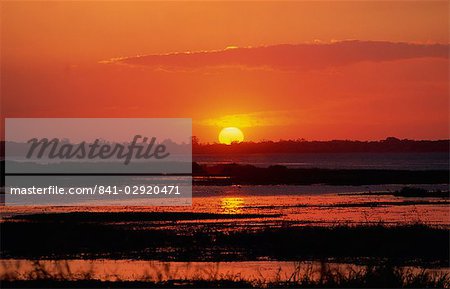Sunset over Myakka Lake, Myakka River State Park, near Sarasota, Florida, United States of America, North America