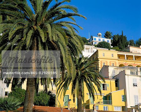Houses and palms, Menton, Alpes-Maritimes, Cote d'Azur, Provence, France, Europe