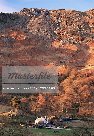 Farm and Lingmoor Fell at sunrise, Great Langdale, Lake District National Park, Cumbria, England, United Kingdom (U.K.), Europe