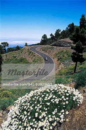 Straße in der Nähe von Las Moradas, La Palma, Kanarische Inseln, Spanien, Europa