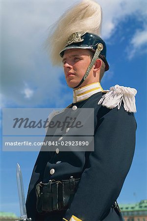 Portrait of a Royal Guard at the Royal Palace in Stockholm, Sweden, Scandinavia, Europe