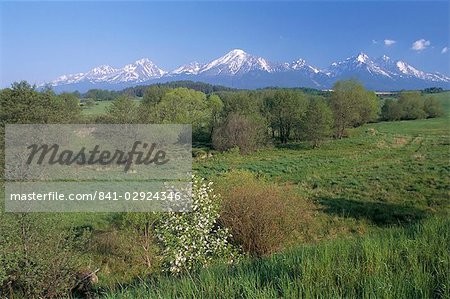 Hautes montagnes Tatras de près de Poprad, Slovaquie, Europe Hautes montagnes Tatras de près de Poprad, Slovaquie, Europe
