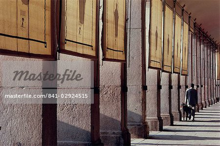 Man and his dog, colonnade, Plaza Mayor, Madrid, Spain, Europe