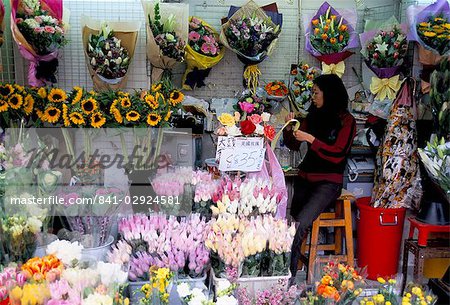 Blumenmarkt, Mong Kok, Kowloon, Hong Kong, China, Asien