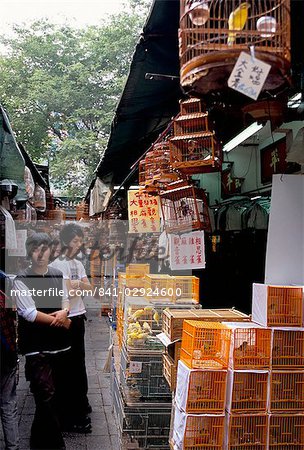 Yuen Po Street Bird Garden, Mongkok, Kowloon, Hong Kong, China, Asien