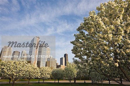 Fleurs de printemps dans le parc de Navy Pier, Chicago, Illinois, États-Unis d'Amérique, l'Amérique du Nord