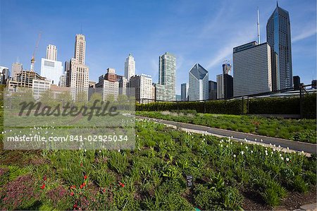 Lurie Garden, Millennium Park, Chicago, Illinois, États-Unis d'Amérique, l'Amérique du Nord
