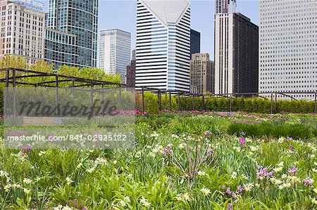 The Lurie Garden, Millennium Park, Chicago, Illinois, United States of America, North America