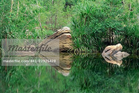 Réflexions des roches et des espèces de Pandanus dans les eaux du ruisseau Jim Jim dans le Parc National de Kakadu, territoire du Nord, Australie, Pacifique