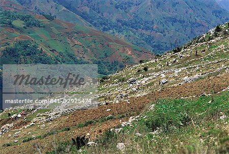 Menschen, die in steilen Berg Felder auf 2000m, Haiti, Karibik, Mittelamerika