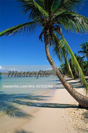 Plage de Bávaro, République dominicaine, Antilles, Caraïbes, Amérique centrale Plage de Bávaro, République dominicaine, Antilles, Caraïbes, Amérique centrale