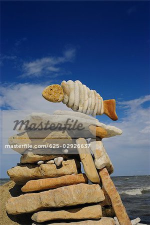 Low angle view of pebbles arranged in a fish shape