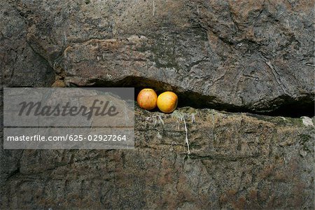 Deux pommes dans la roche fissurée