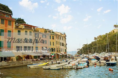 Bateaux dans un port, Riviera italienne, Portofino, Gênes, Ligurie, Italie